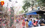 Nhộn nhịp Phố sách Xuân Canh Tý 2020
